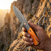 GT-DM050 Folding Knife, 3.31in Effective Cutting Edge Orange Bone Handle, 160g Lightweight Daily Carry Damascus Knife for Camping Hunting Gift GT-DM050 Folding Knife, 3.31in Effective Cutting Edge Orange Bone Handle, 160g Lightweight Daily Carry Damascus Knife for Camping Hunting Gift