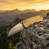 GT-T0065 Compact EDC Folding Knife, D2 Blade G10 Handle Button Lock Outdoor Utility Pocket Knife