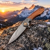 Tunafire knife GT-DM023 Collectible Damascus Pocket Knife, Ball Bearing Pivot, Natural Zebrawood Handle for Daily Carry Tunafire knife GT-DM023 Collectible Damascus Pocket Knife, Ball Bearing Pivot, Natural Zebrawood Handle for Daily Carry