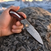 Portable GT-DM023 Folding Knife, Damascus Steel Blade, Safflower Wood Grip Ball Bearing Knife for Camping & Gifts Tunafire Knife Portable GT-DM023 Folding Knife, Damascus Steel Blade, Safflower Wood Grip Ball Bearing Knife for Camping & Gifts Tunafire Knife