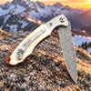 76 Layers Damascus Steel Pocket Knife GT-DM014, Ball Bearing Opening Decorative Folding Knife Tunafire