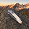 76 Layers Damascus Steel Pocket Knife GT-DM014, Ball Bearing Opening Decorative Folding Knife Tunafire