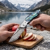 GT-DM002 Unique Damascus Steel Folding Knife, Engraved Steel Head, Iridescent Colored Shell Handle for Display & Carry Tunafire Knife