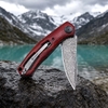 Tunafire Knife VG-10 Core Damascus Folding Knife GT-K4020, Ball Bearing EDC Knife with Dalbergia Handle Tunafire Knife VG-10 Core Damascus Folding Knife GT-K4020, Ball Bearing EDC Knife with Dalbergia Handle
