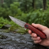 Tunafire Knife VG-10 Core Damascus Folding Knife GT-K4020, Ball Bearing EDC Knife with Dalbergia Handle Tunafire Knife VG-10 Core Damascus Folding Knife GT-K4020, Ball Bearing EDC Knife with Dalbergia Handle